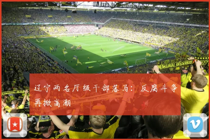 辽宁两名厅级干部落马：反腐斗争再掀高潮