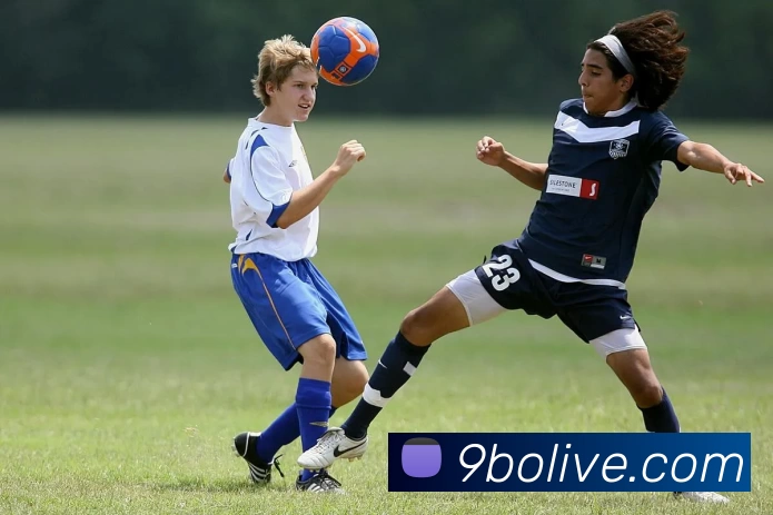 App Interface Preview